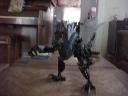 ShadowRaptor