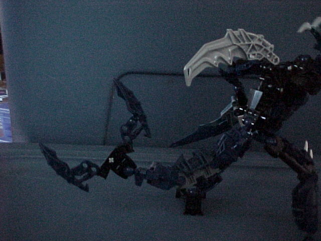 mvc-005f.jpg