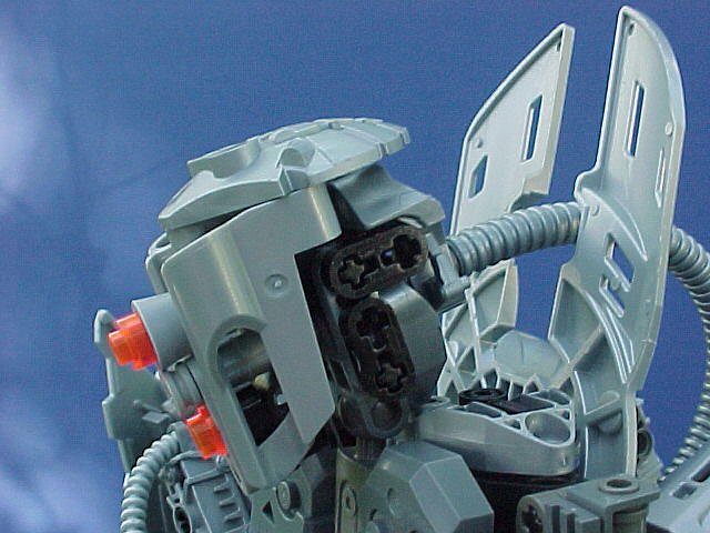 37.jpg