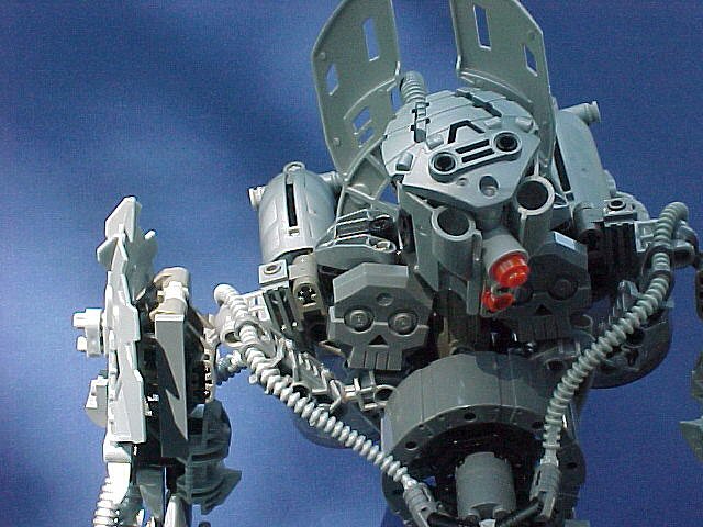 49.jpg