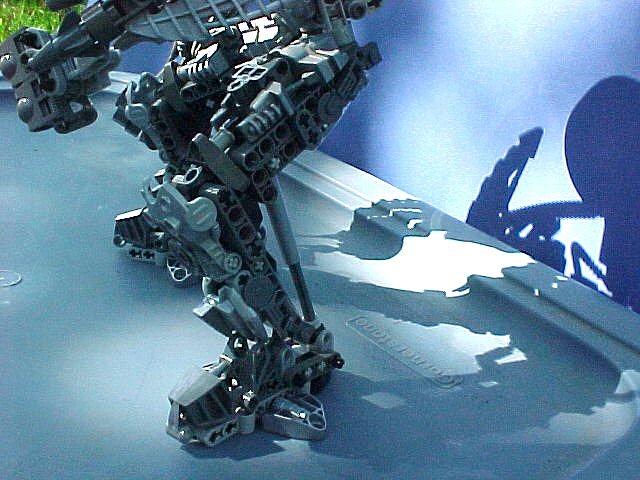 51.jpg