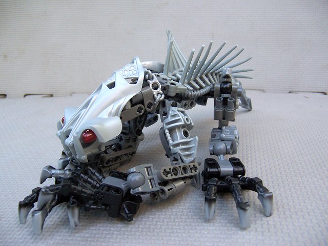 19.jpg