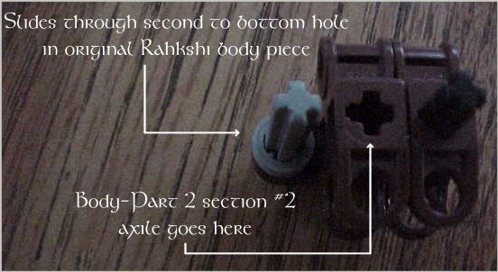 body-part_1.jpg