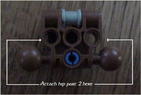 hip-part1-back.jpg