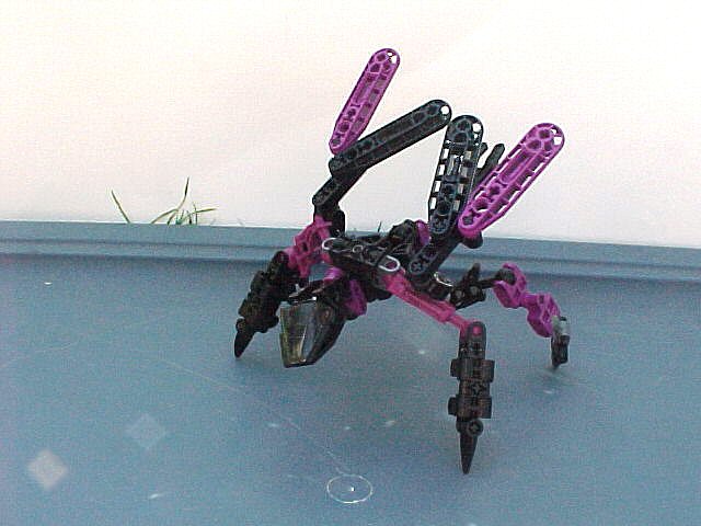 mvc-006f.jpg