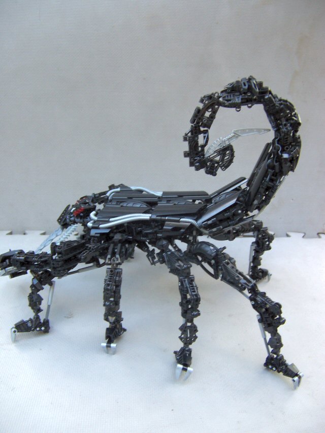 05.jpg