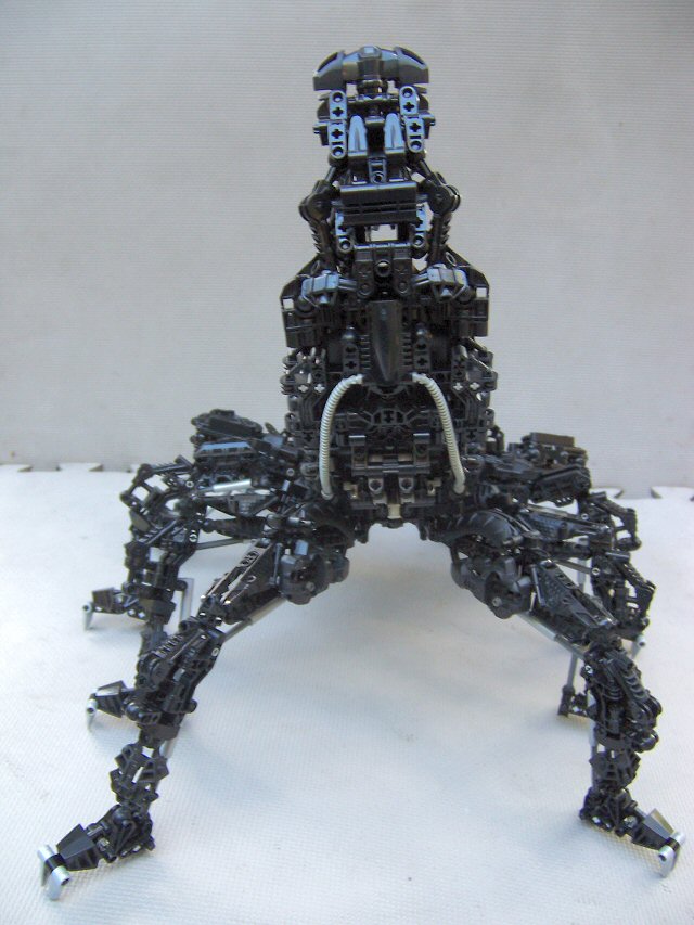 06.jpg