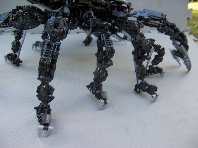 08.jpg