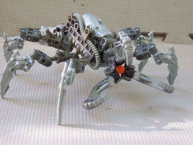 01.jpg