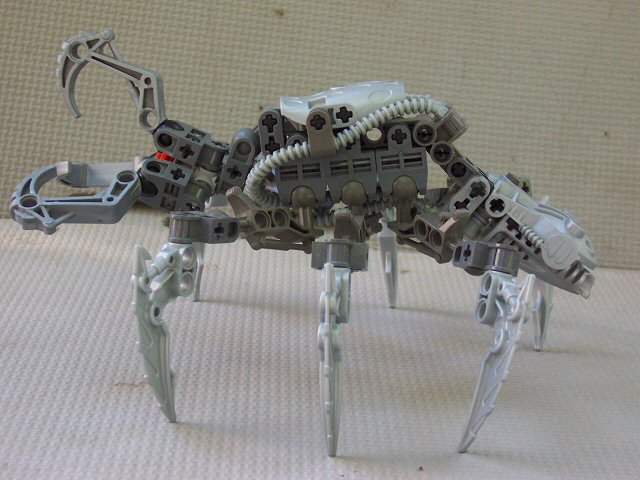 03.jpg