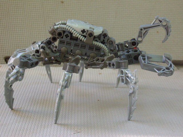 05.jpg