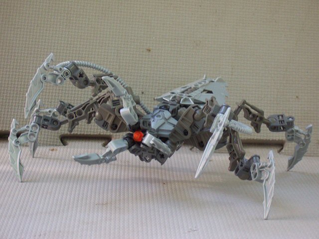 01.jpg