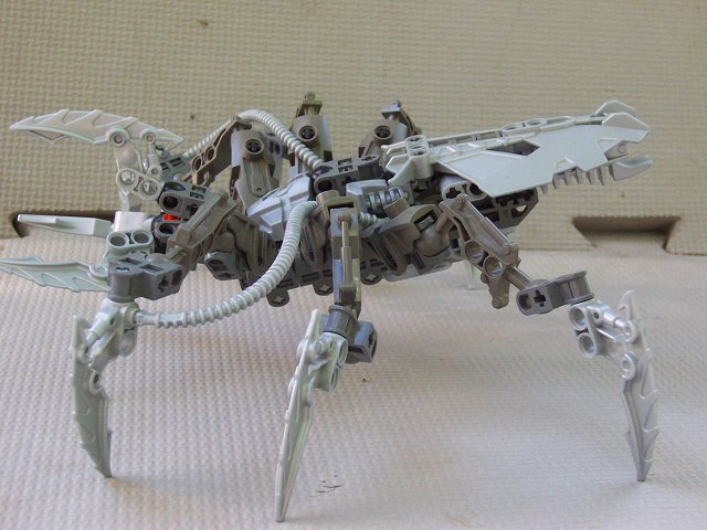 03.jpg