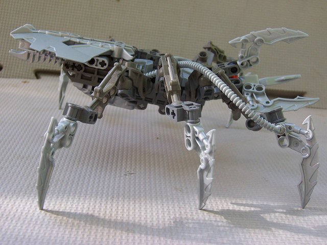 05.jpg