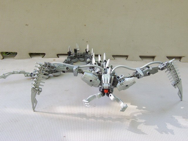 02.jpg