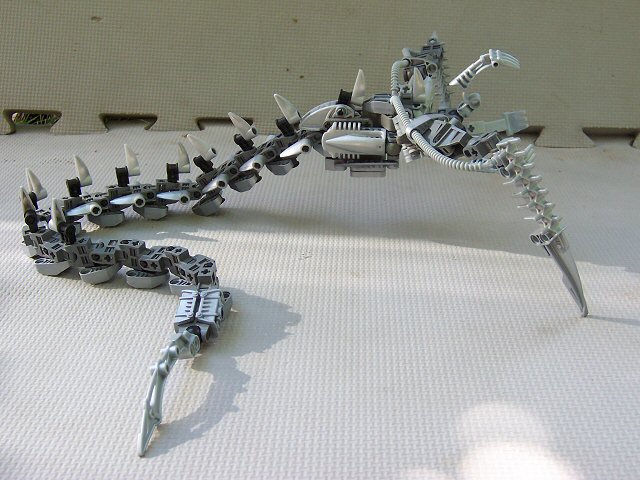 05.jpg