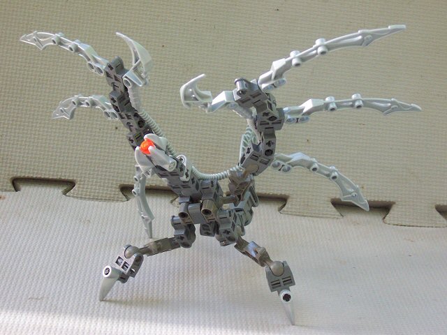 01.jpg