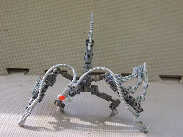 02.jpg