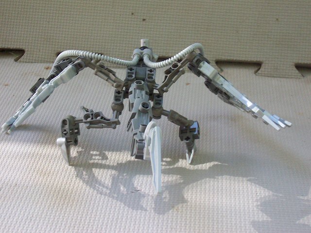 04.jpg