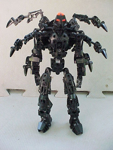 02.jpg