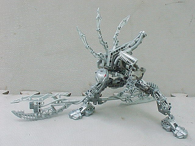 01.jpg