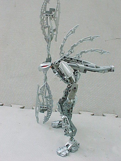 03.jpg