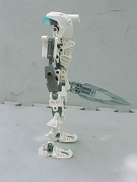 05.jpg