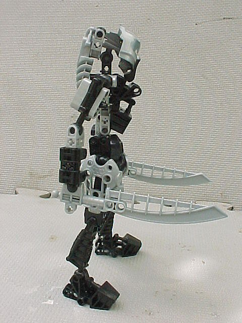 05.jpg