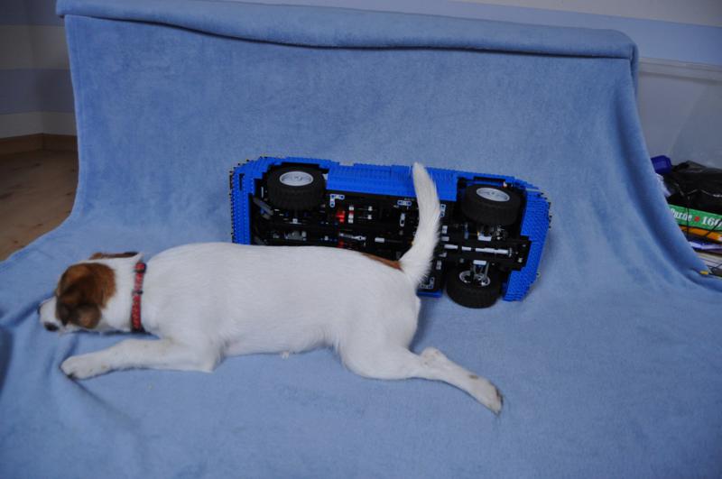 dsc_0044-800x531.jpg