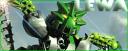 lewabanner_rogwiz__6_20_2009_4_27_pm.png