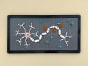 Multiple-sclerosis