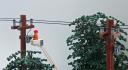power-line.jpg
