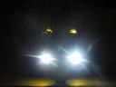 dscn5568.jpg