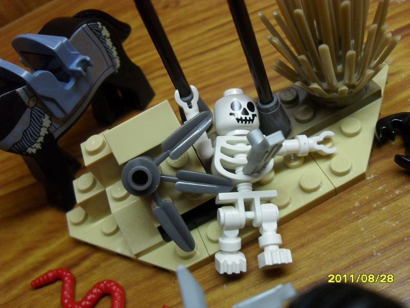 sdc16403.jpg