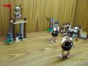 sdc16968.jpg