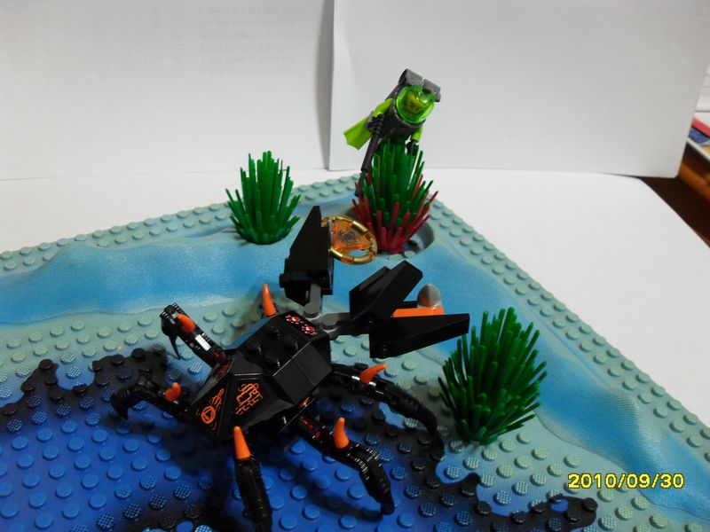 sdc13886.jpg