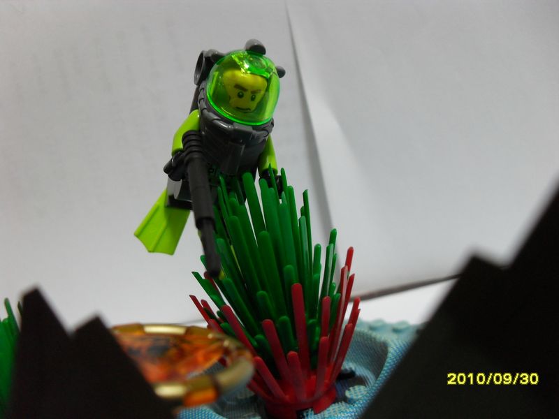 sdc13890.jpg
