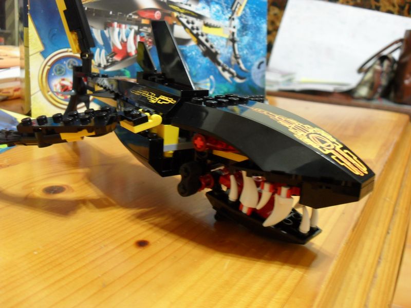 sdc14749.jpg