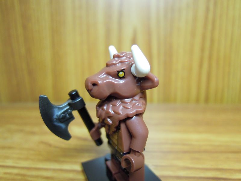 dscn1595.jpg