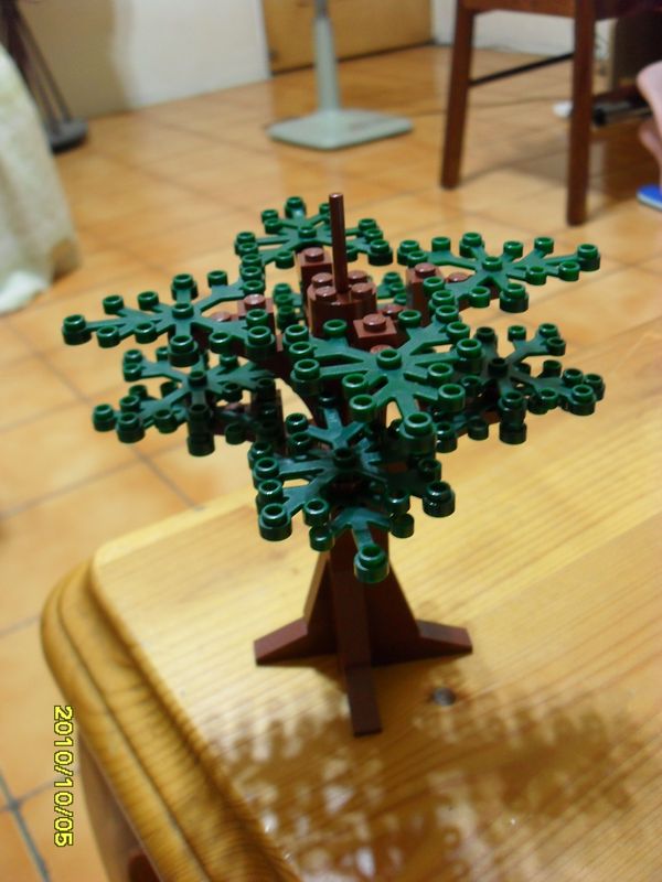 sdc13945.jpg