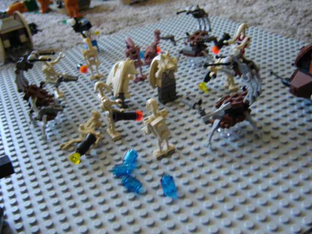 dsc01668.jpg