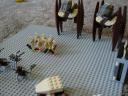 dsc01648.jpg