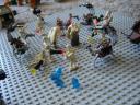 dsc01668.jpg