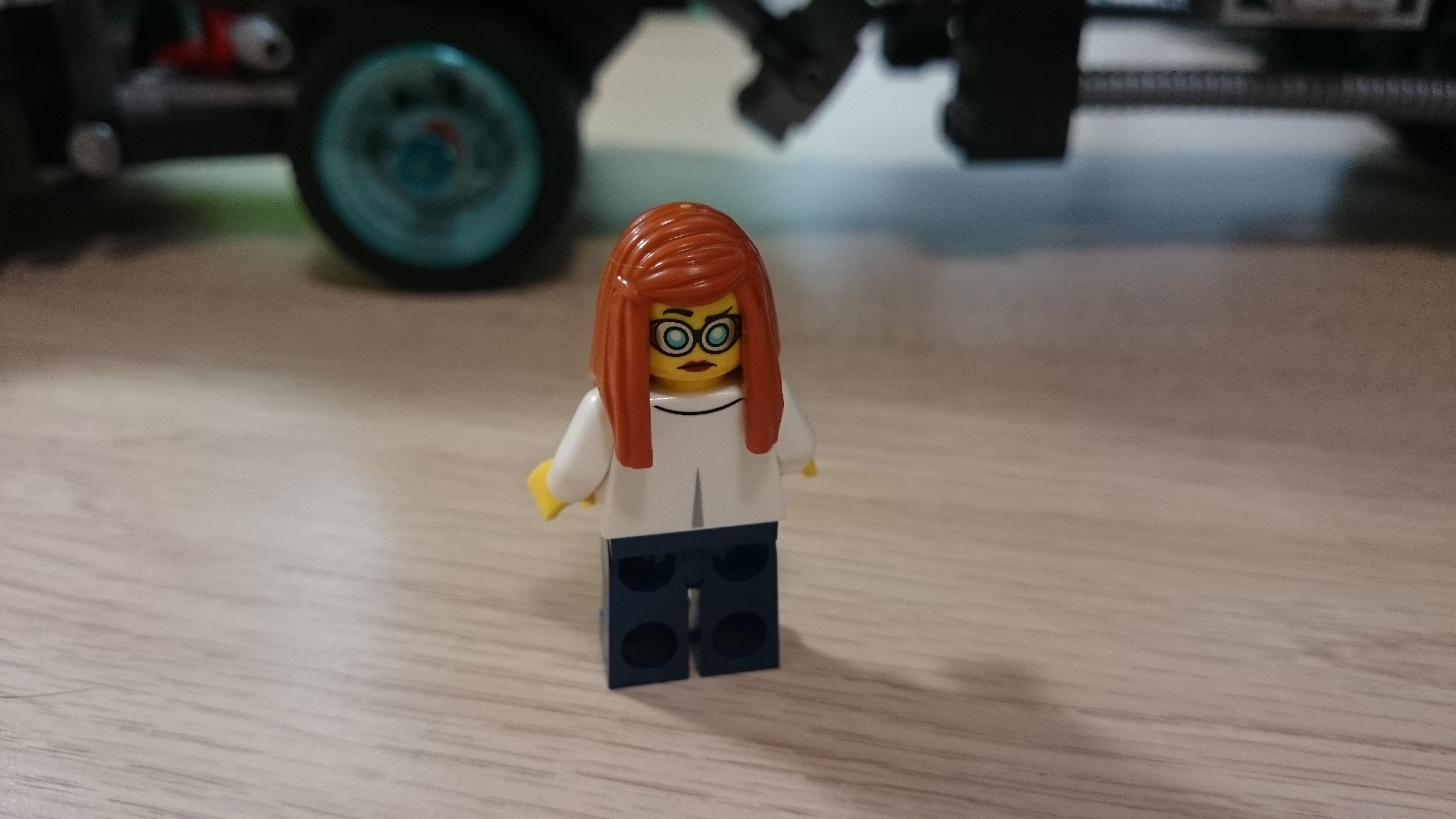 dsc_0511.jpg