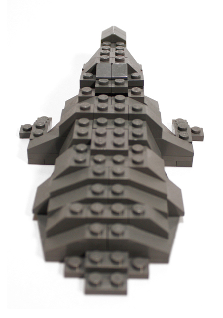 croco04.jpg