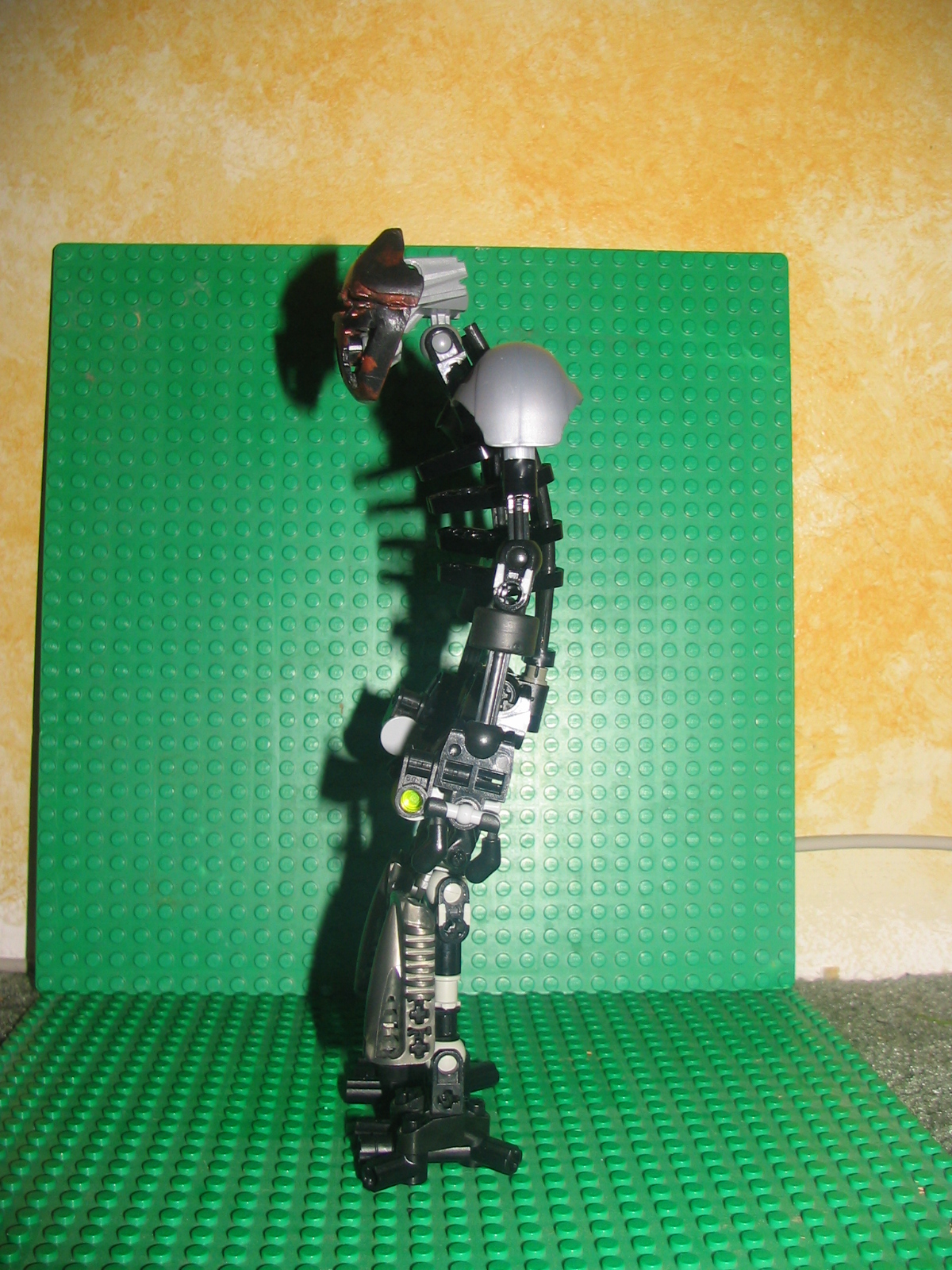 shadow_toa_012.jpg