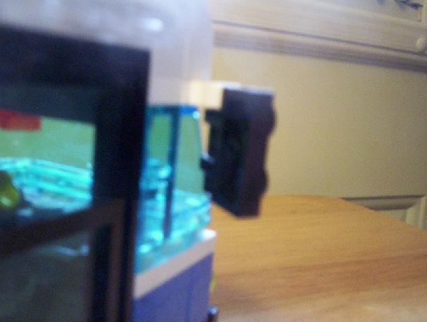 100_1077.jpg