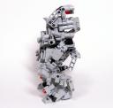 allozyme_02.jpg
