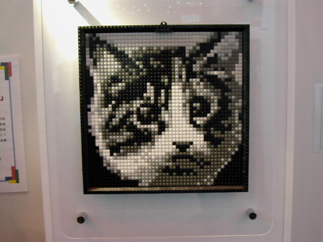 dscn0330.jpg