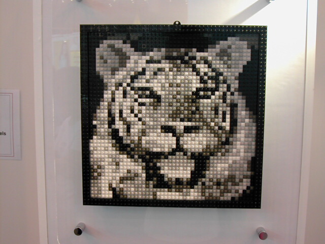 dscn0331.jpg
